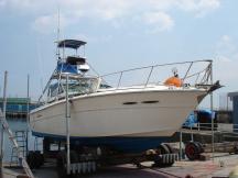 シーレイ SEARAY 390　EXPRESS　CRUISER