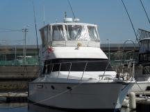 ANQEL MARINE ANQEL MARINE
