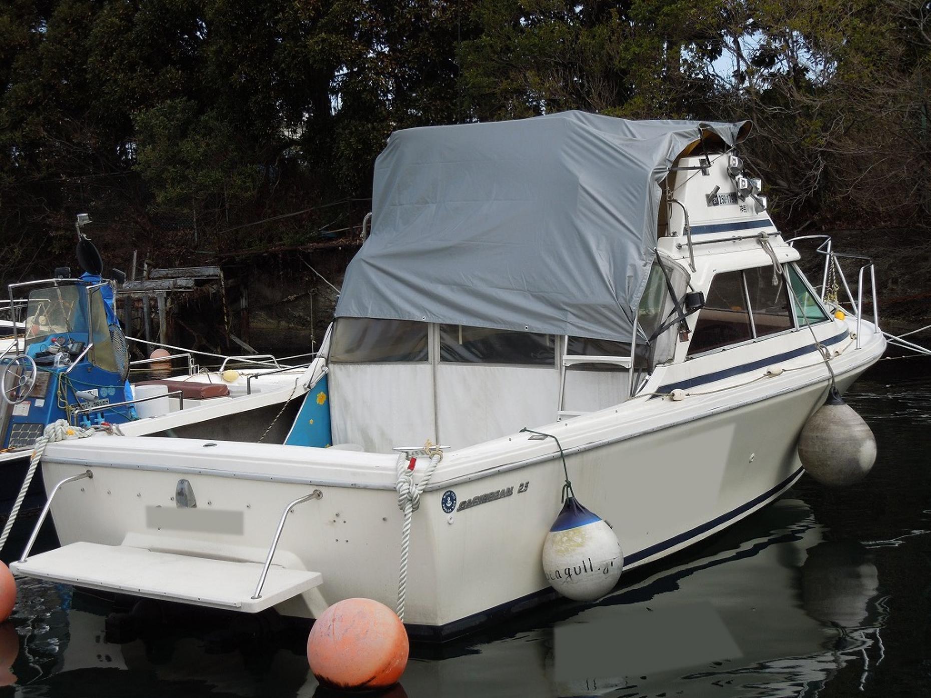 カリビアン BERTRAM 25 (INTERNATIONAL MARINE)