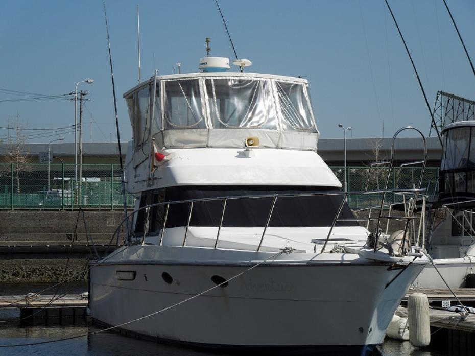 Array ANQEL MARINE