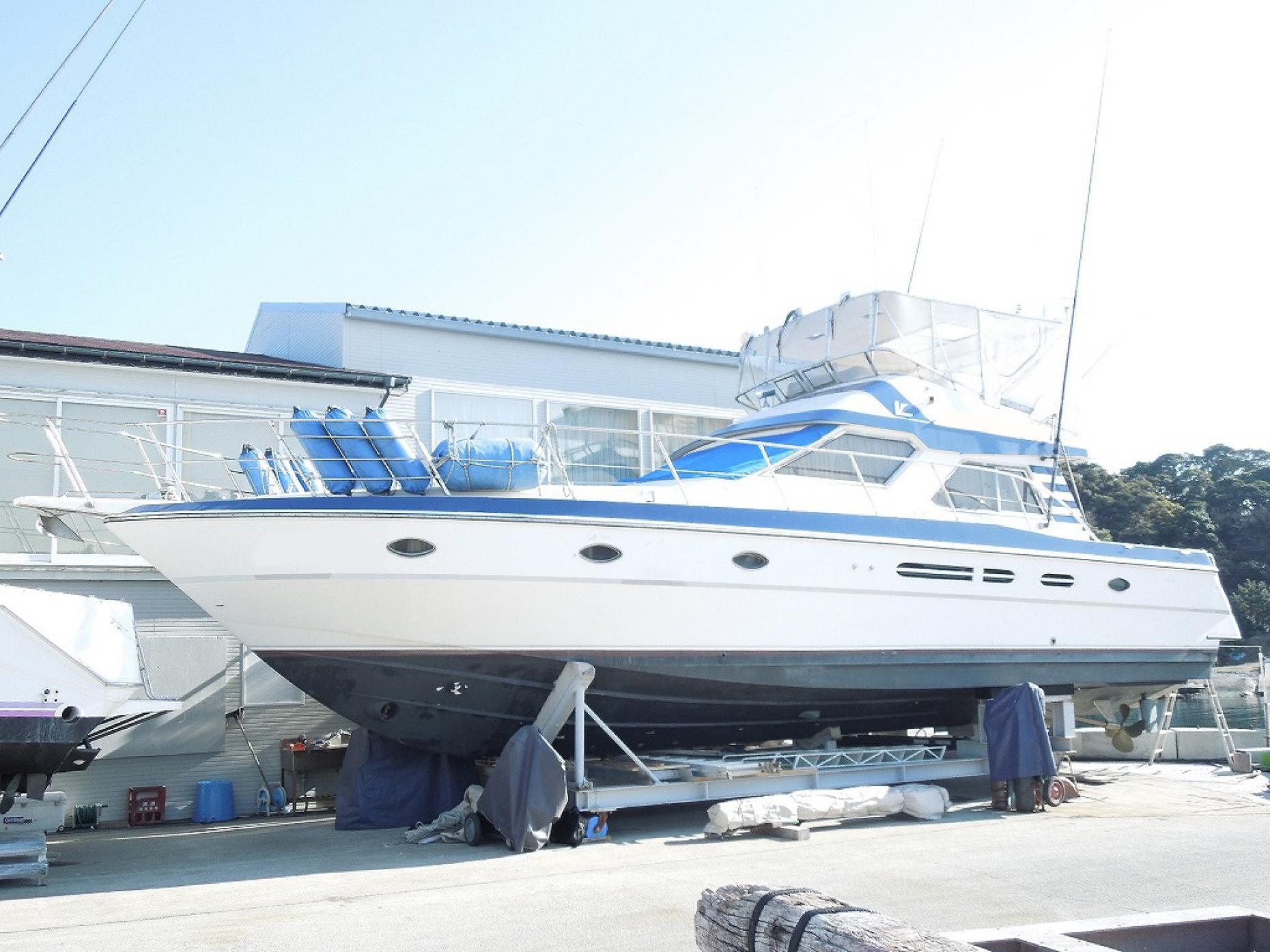 ビテック VITECH 49SC