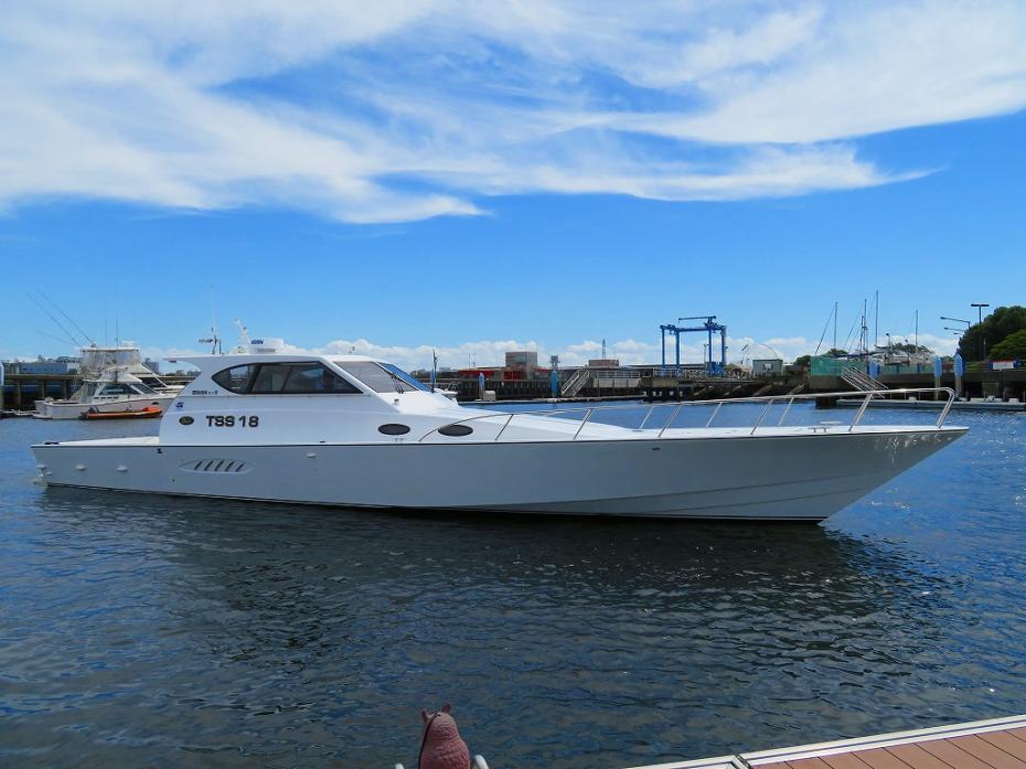 Array 18M
