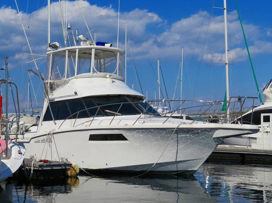 Array SF38 CONVERTIBLE