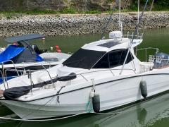 Yamaha YFR27